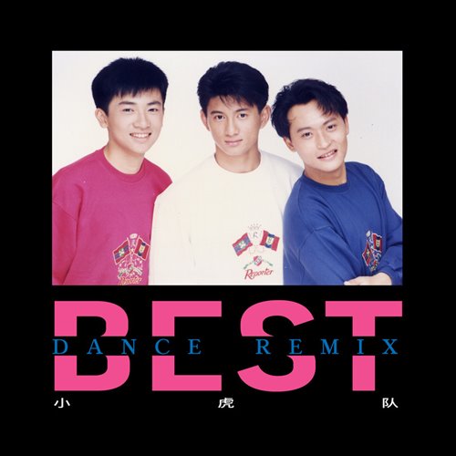 小虎队 - 爱 (DJBin Electro Remix 2026)
