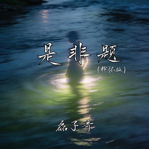是非题 (释怀 DAT Bootleg)