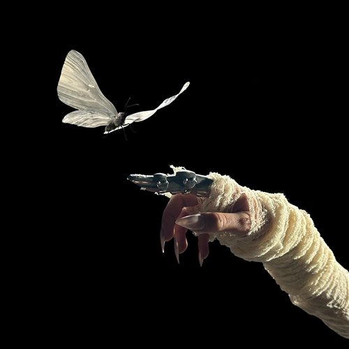 The Temper Trap - Forever (Sweet Disposition) (VYTO Remix)