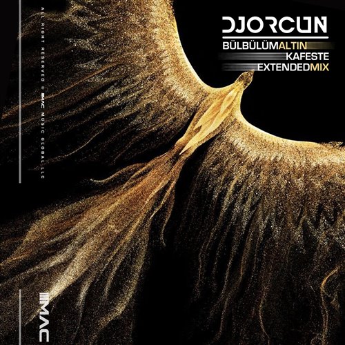 DJ Orcun - Bülbülüm Altın Kafeste (Extended Mix)