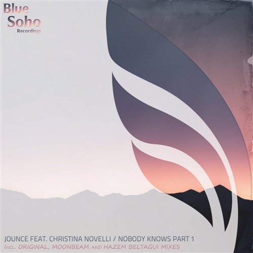 Wizard & sqmer - Nobody Knows (Original Mix)