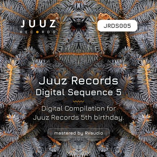 Wizard - THE RULER (Original Mix)