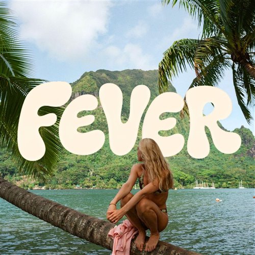 Palm Monkey, Heliograph - FEVER (Original Mix)