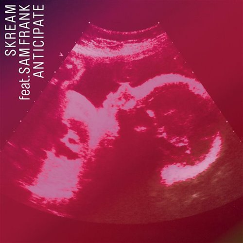 Skream - Big Space (Extended Mix)