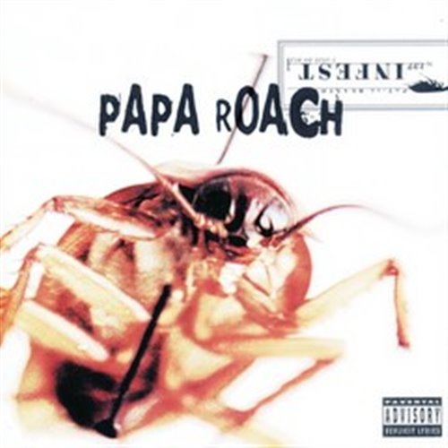 Papa Roach, John Summit, Gorgon City, Dave Summer - Last Resort (Valy Mo Mashup)