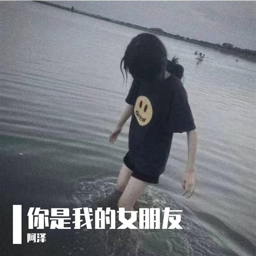 这首歌是我写给你的 (豆包,释怀 Bootleg)