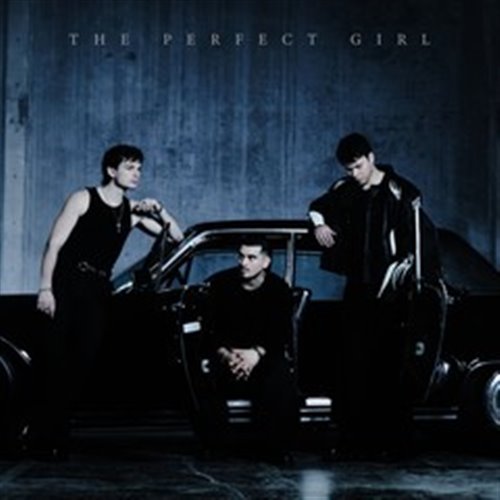 Ship Wrek & Void - The Perfect Girl (Original Mix)