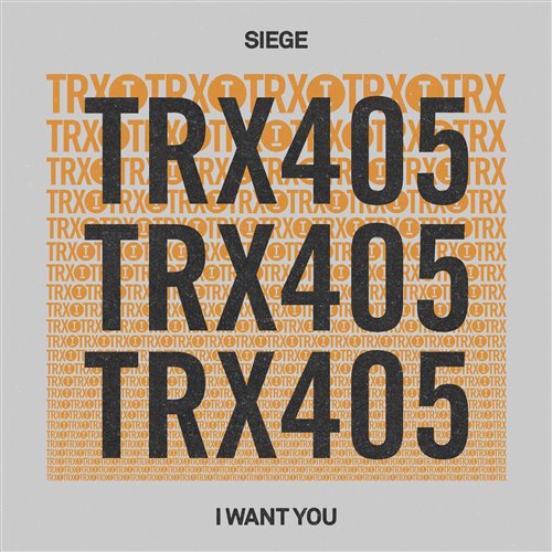 Siege - I Want You (Extended Mix)