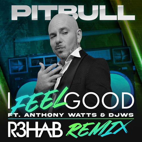 Pitbull, R3HAB, DJWS, Anthony Watts - I Feel Good (R3HAB Remix)
