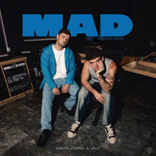 Martin Garrix, Lauv, Matt Pridgyn - MAD (Matt Pridgyn Extended Remix)