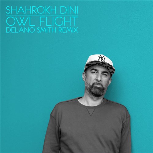 Shahrokh Dini - Owl Flight(Delano Smith Remix - 2026 Edit)