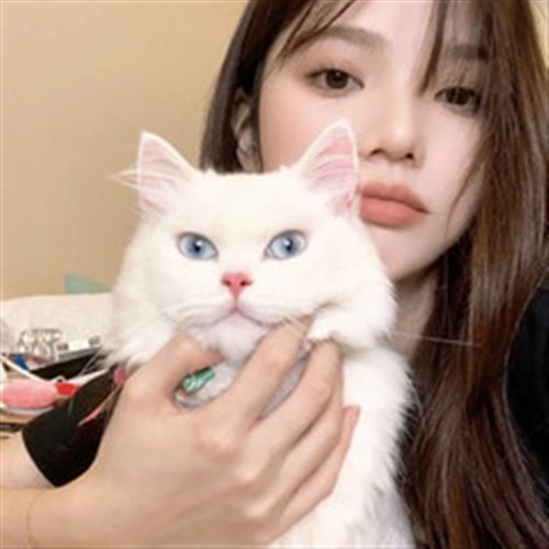 Poker Face x Animal (Netgate Edit)